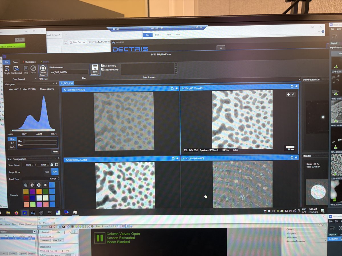 TVIPS NOVENA software showing 4DSTEM scan with virtual images and CBED patterns