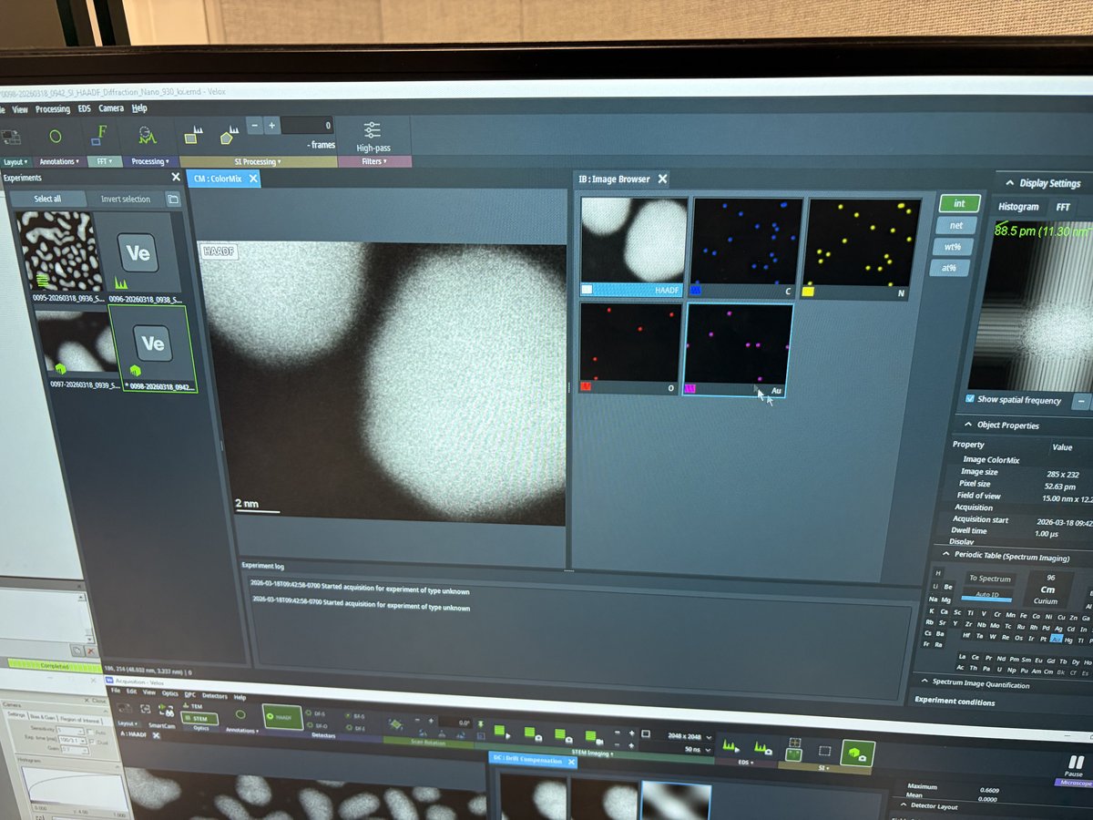 Velox Image Browser with elemental maps and FFT display