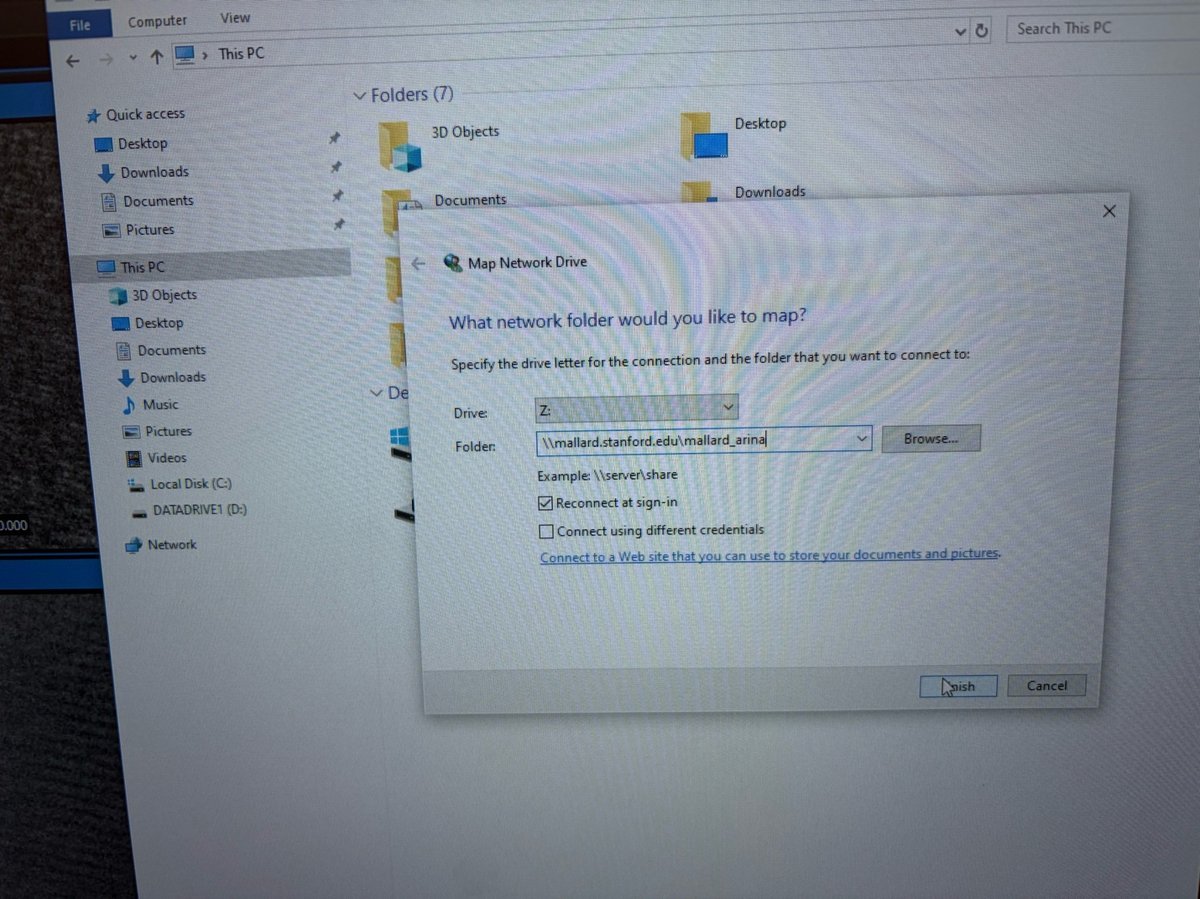 Map Network Drive dialog with mallard_arina path and drive Z