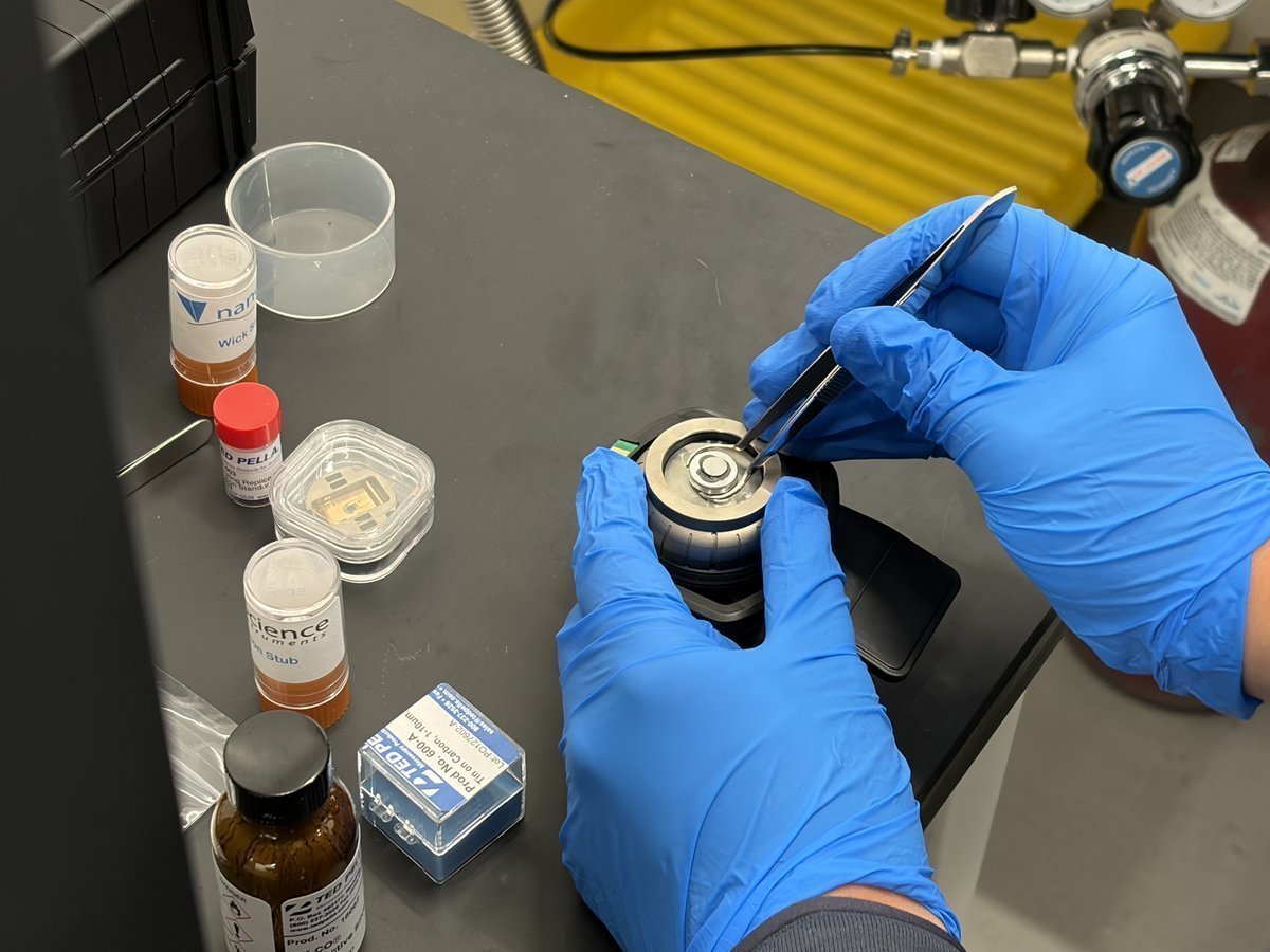 Tweezers lifting the previous sample off the stub puck