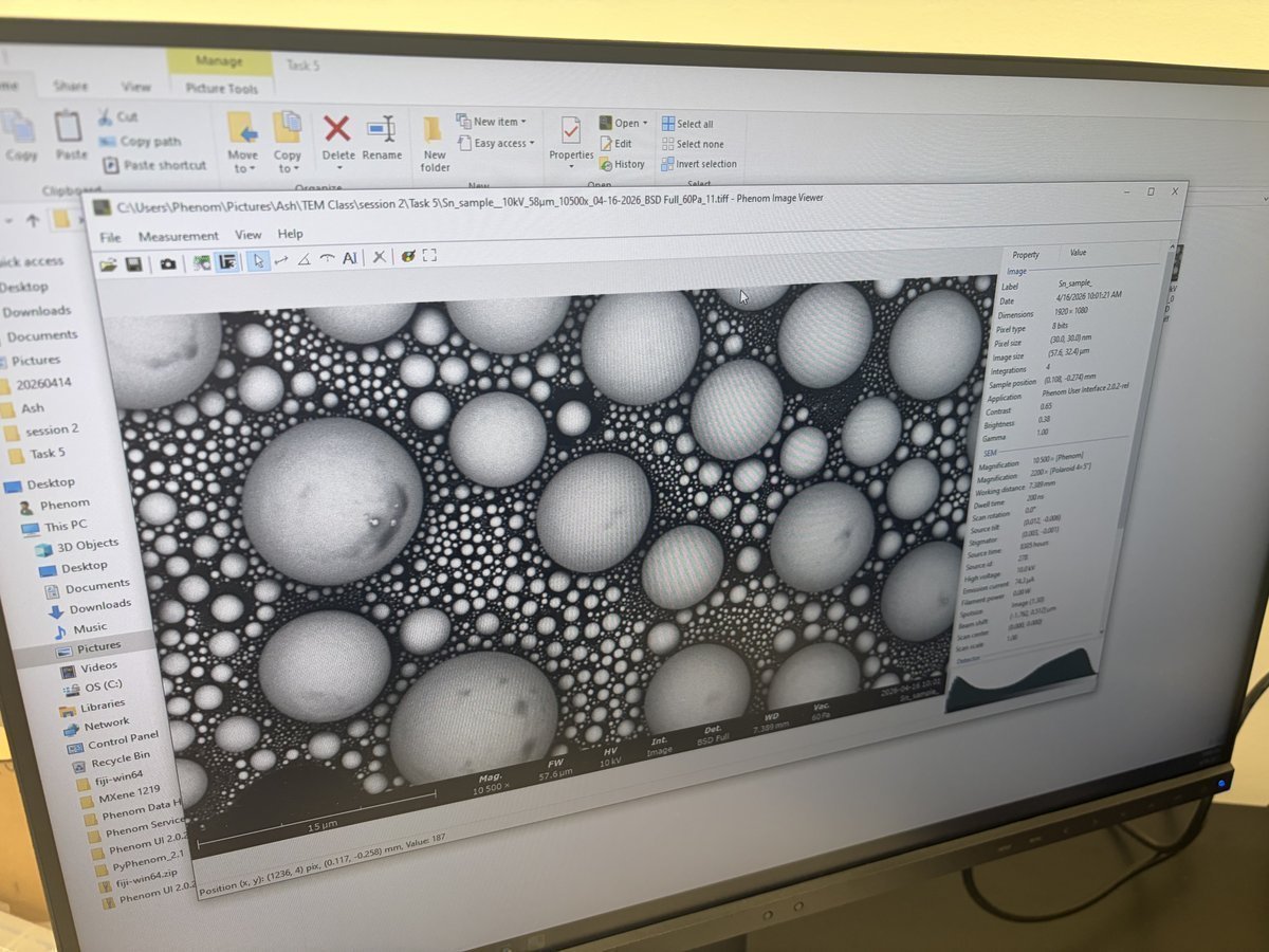 Phenom Image Viewer showing BSE image with properties panel
