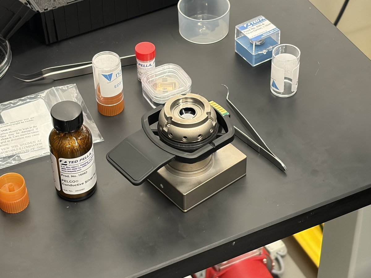 STEM holder on the bench showing segmented transmission detector