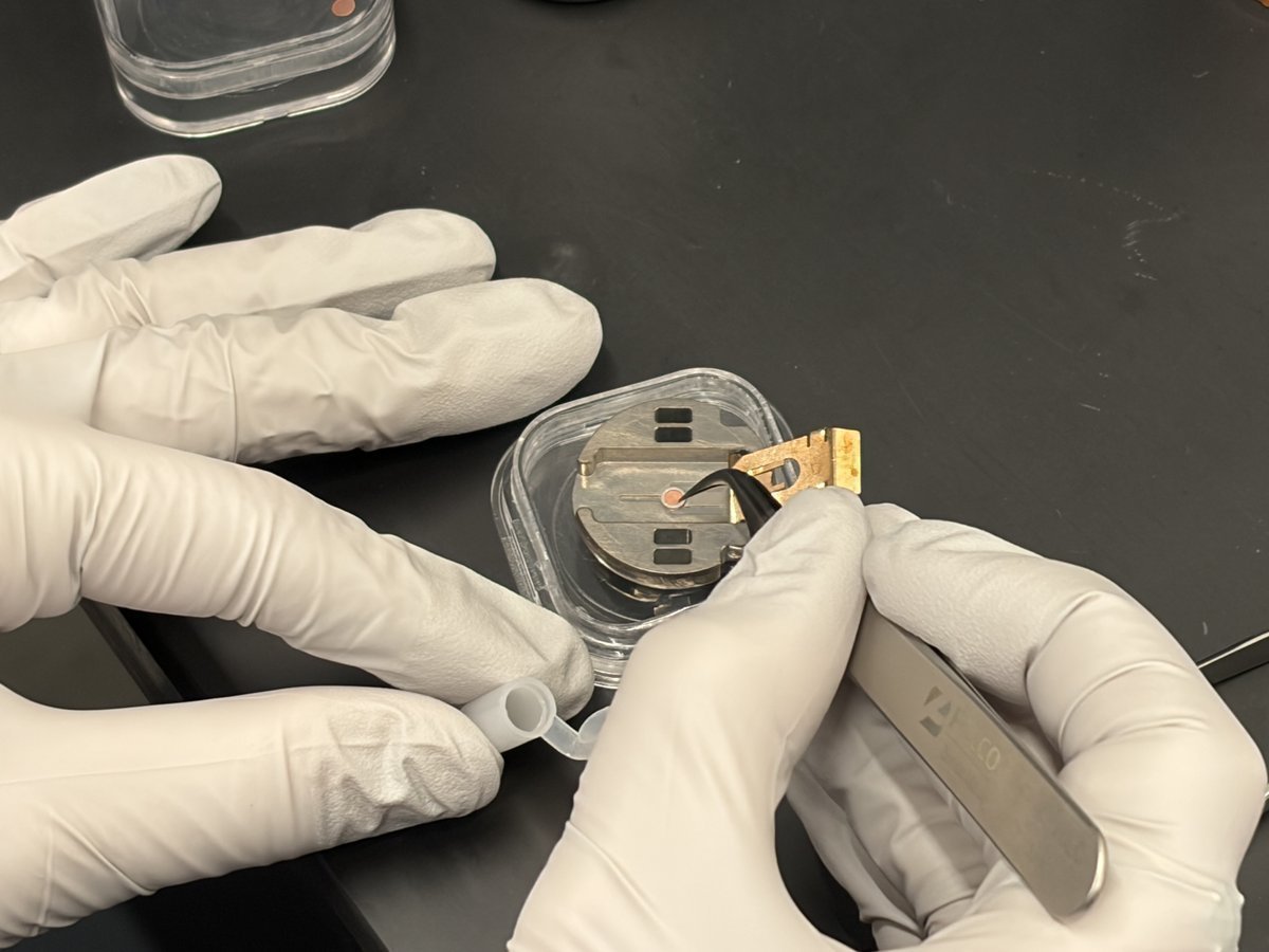 TEM grid seated flat in the STEM holder