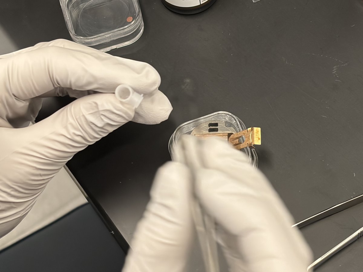 Loading TEM grid into STEM holder with tweezers, blue side down