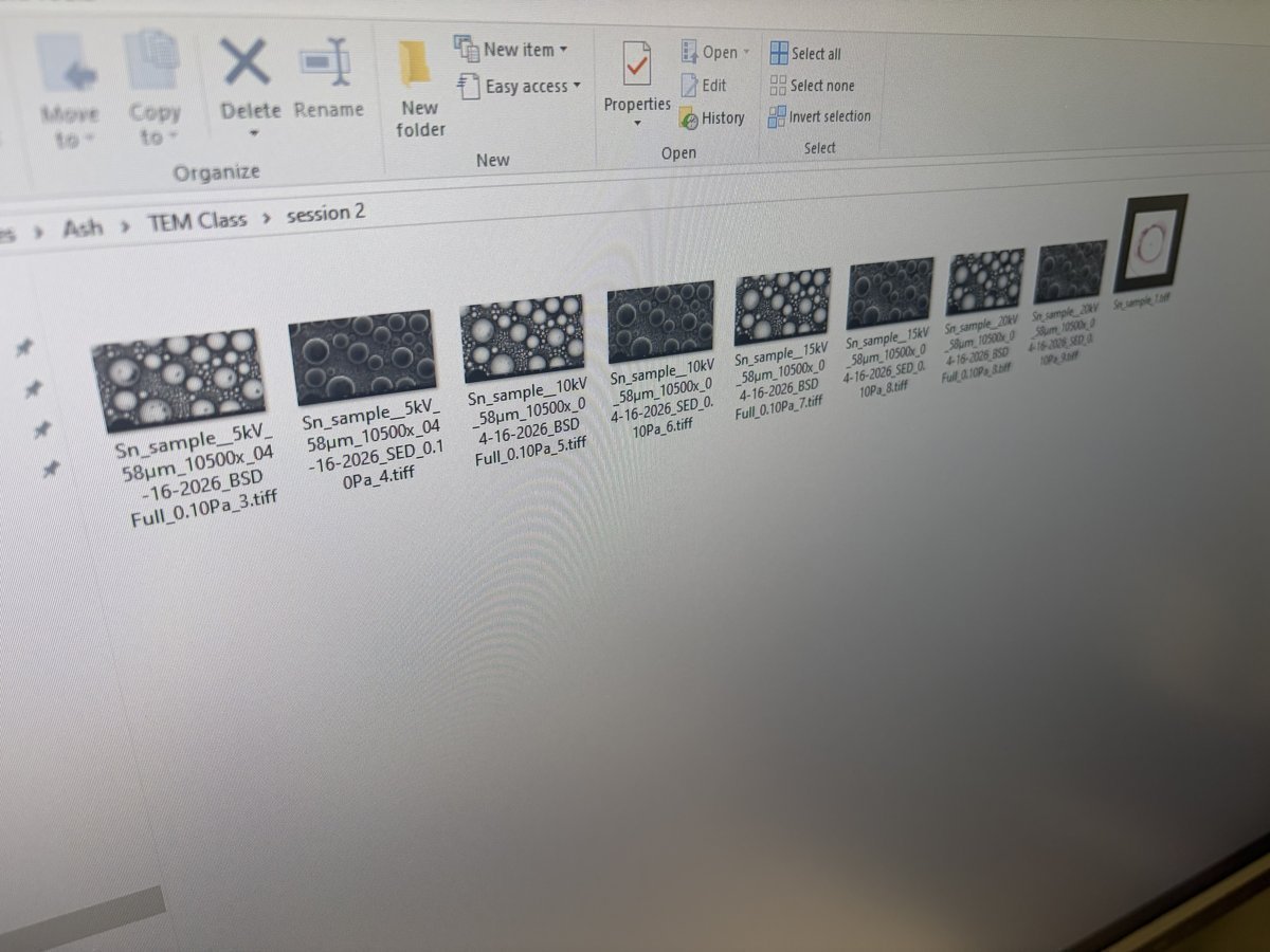 Windows file explorer showing saved Phenom images organized by session