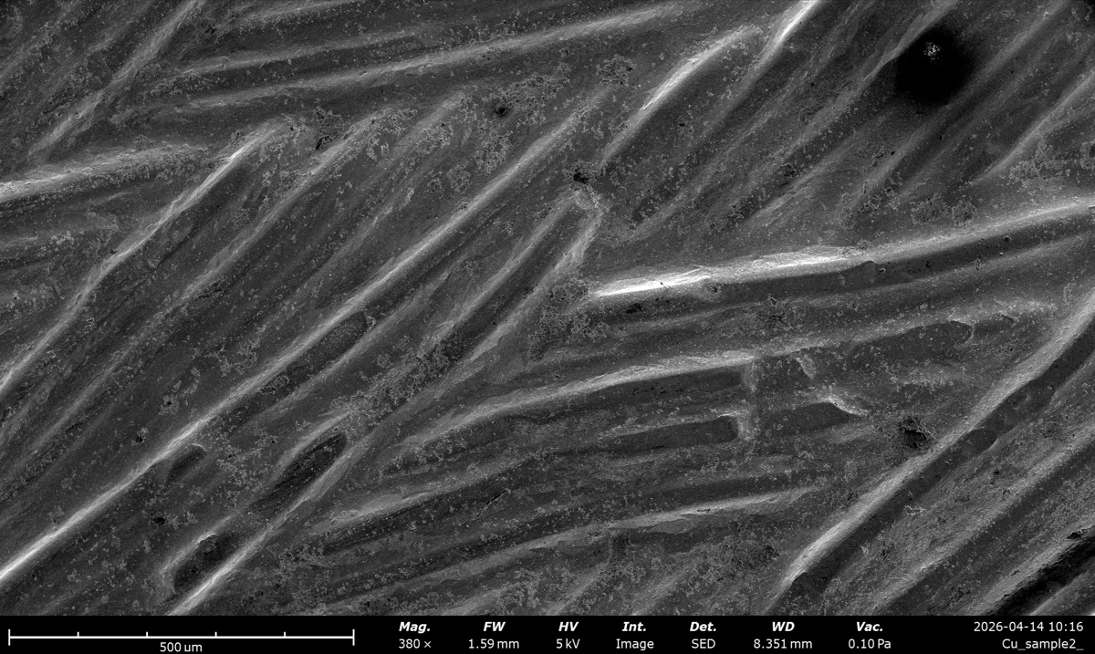 Cu braid SED at 5 kV, 380x magnification, working distance 1590 um, 0.10 Pa