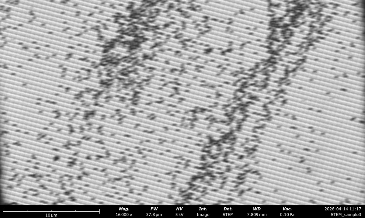 STEM BF at 5 kV on the latex sphere cross grating