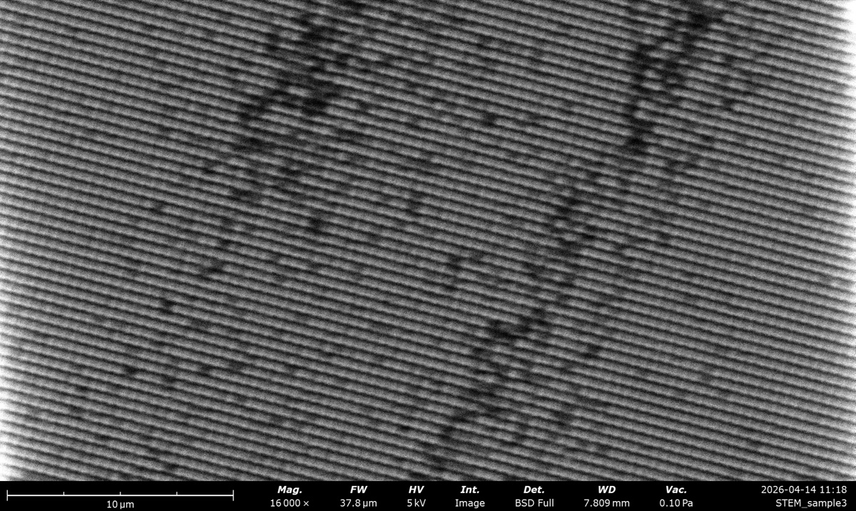 STEM BSE Full at 5 kV on the latex sphere cross grating