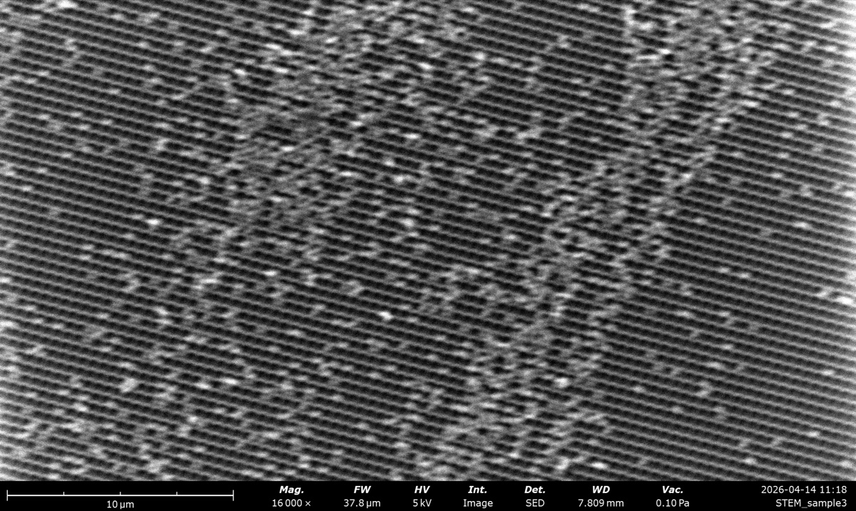 STEM SED at 5 kV on the latex sphere cross grating