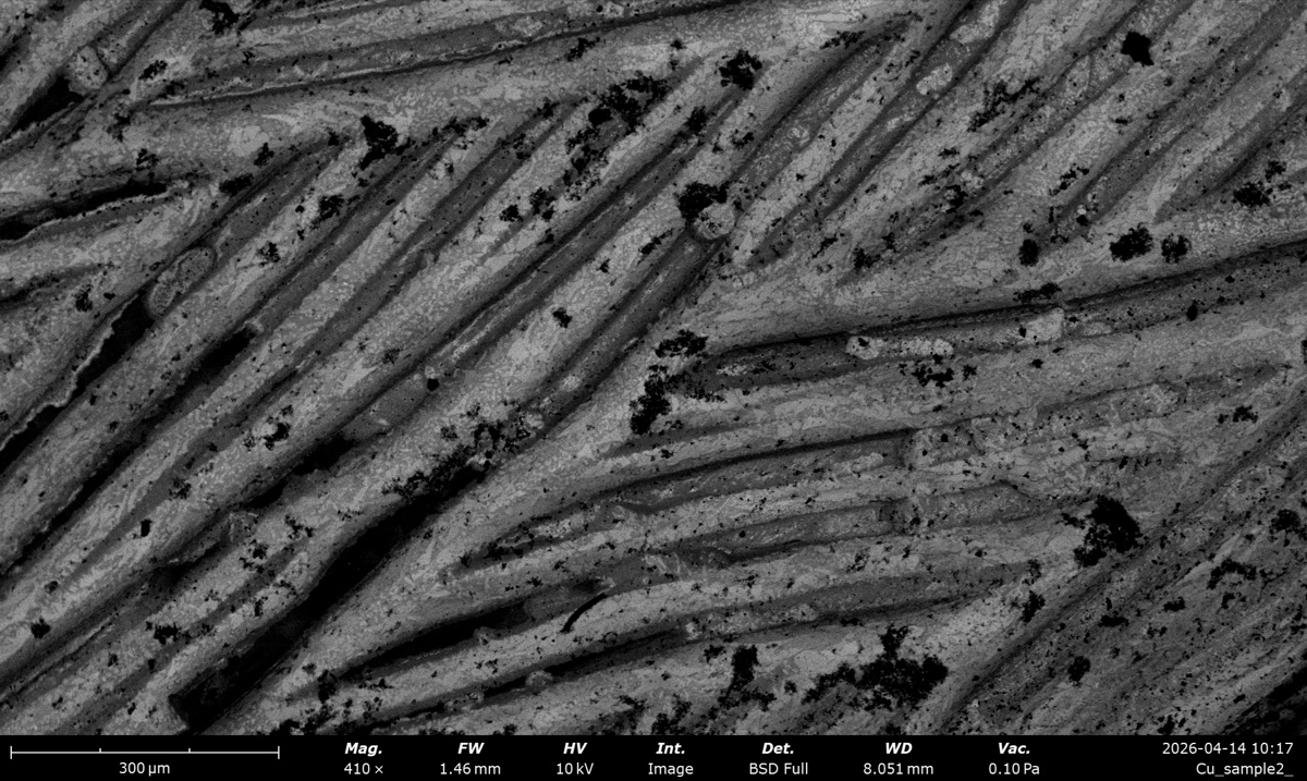 Cu braid BSE Full at 10 kV, 410x magnification, working distance 1465 um, 0.10 Pa