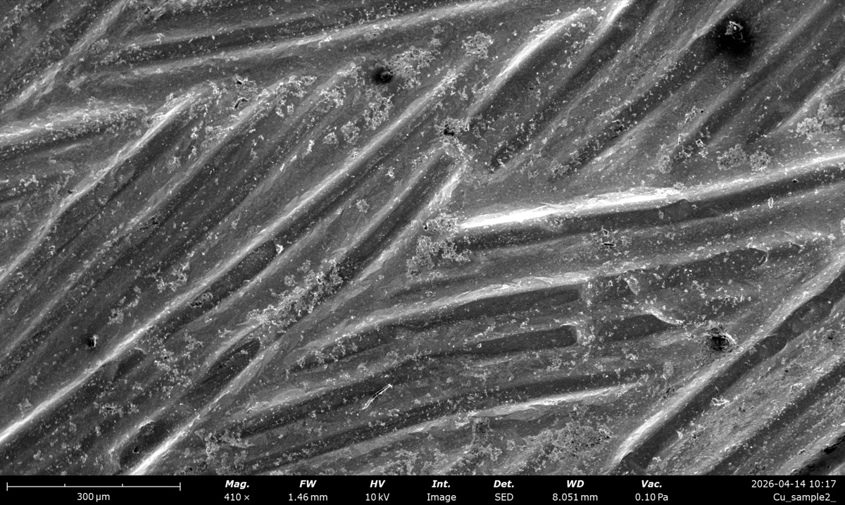 Cu braid SED at 10 kV, 410x magnification, working distance 1465 um, 0.10 Pa