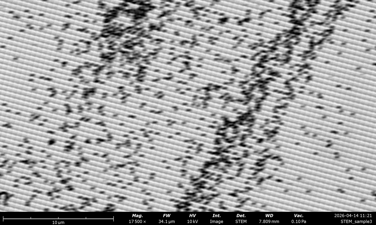 STEM BF at 10 kV on the latex sphere cross grating