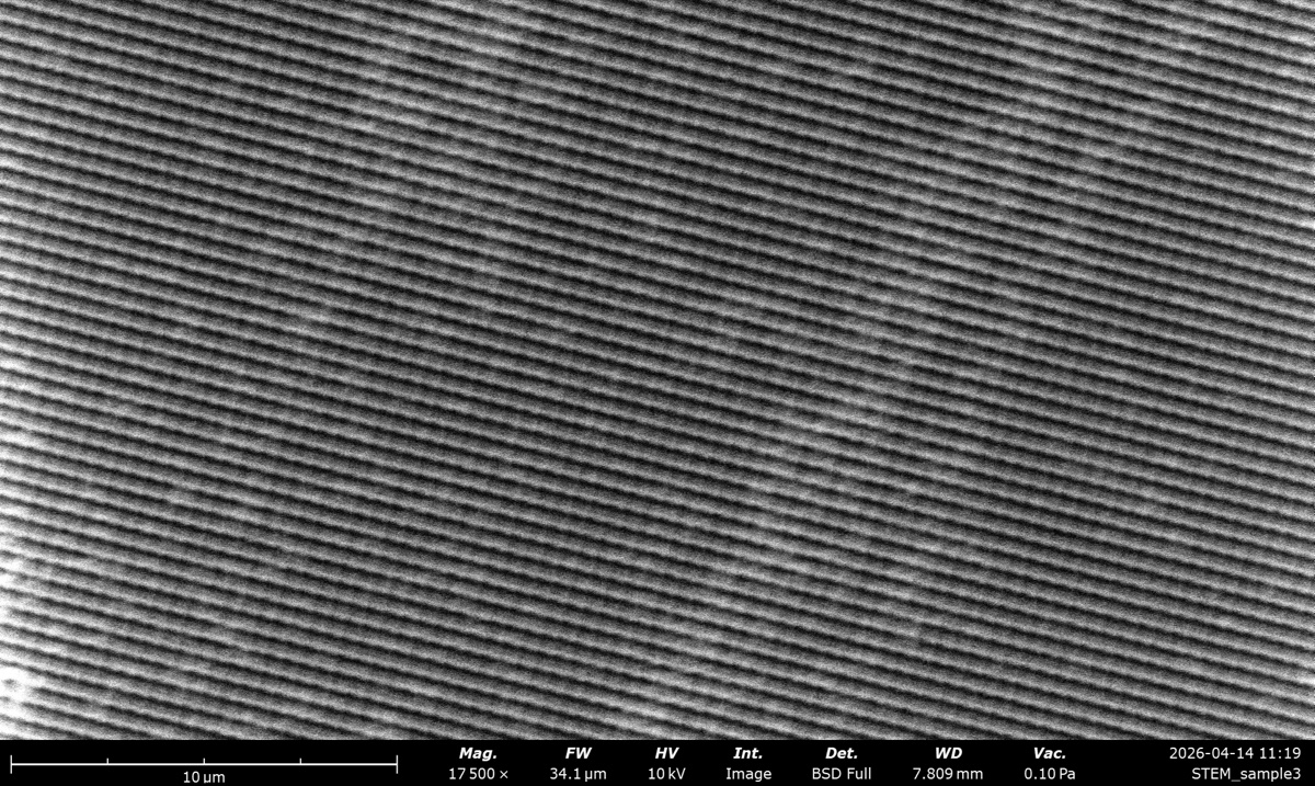 STEM BSE Full at 10 kV on the latex sphere cross grating