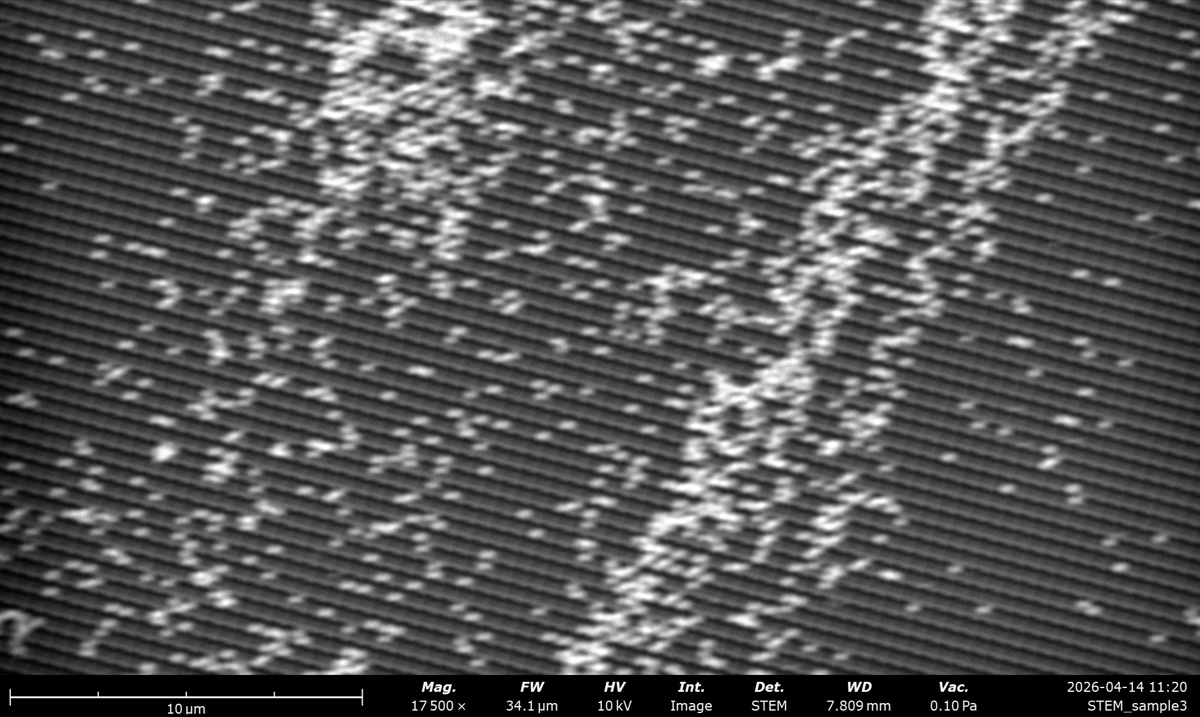 STEM HAADF at 10 kV on the latex sphere cross grating