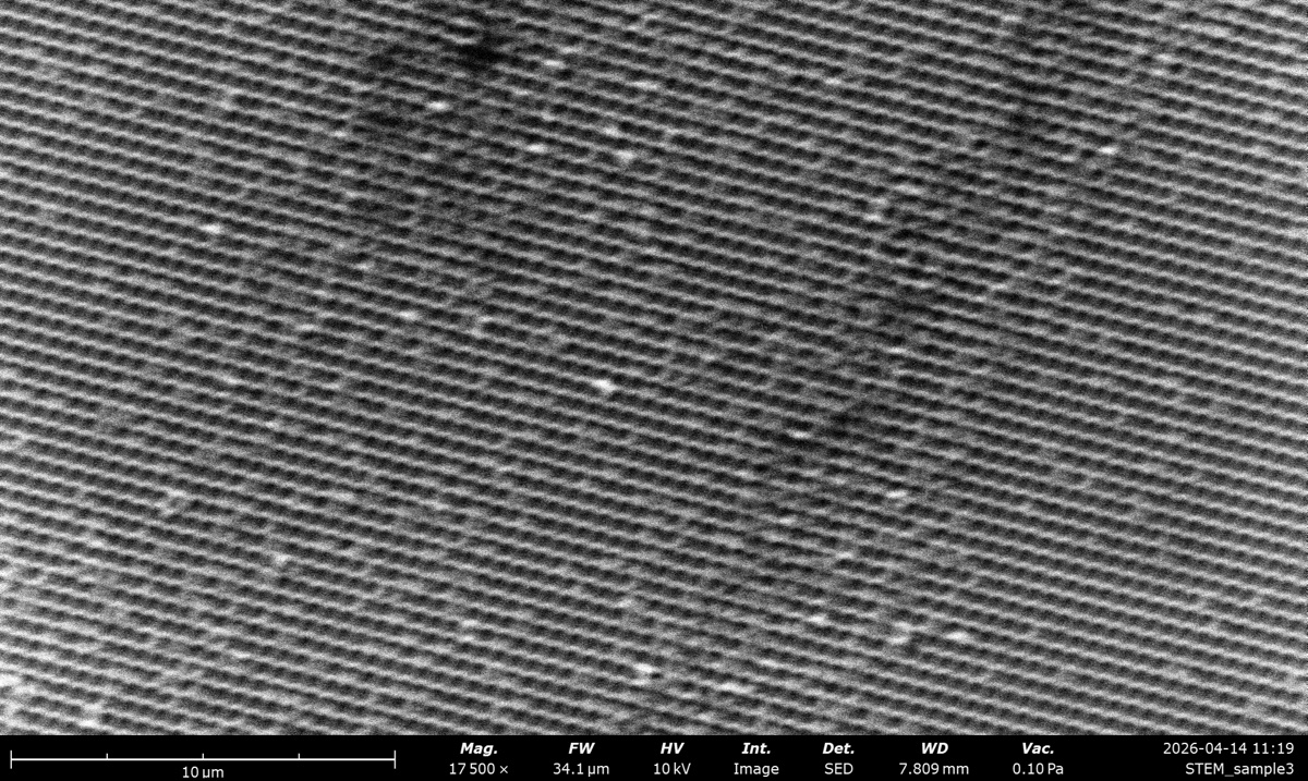 STEM SED at 10 kV on the latex sphere cross grating
