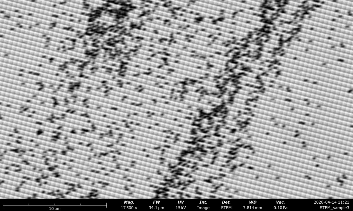 STEM BF at 15 kV on the latex sphere cross grating