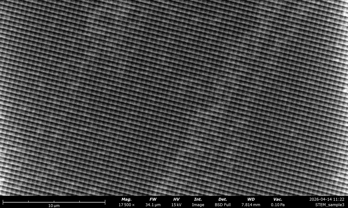 STEM BSE Full at 15 kV on the latex sphere cross grating