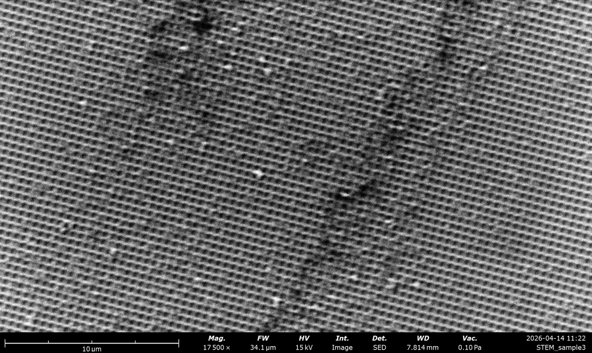 STEM SED at 15 kV on the latex sphere cross grating