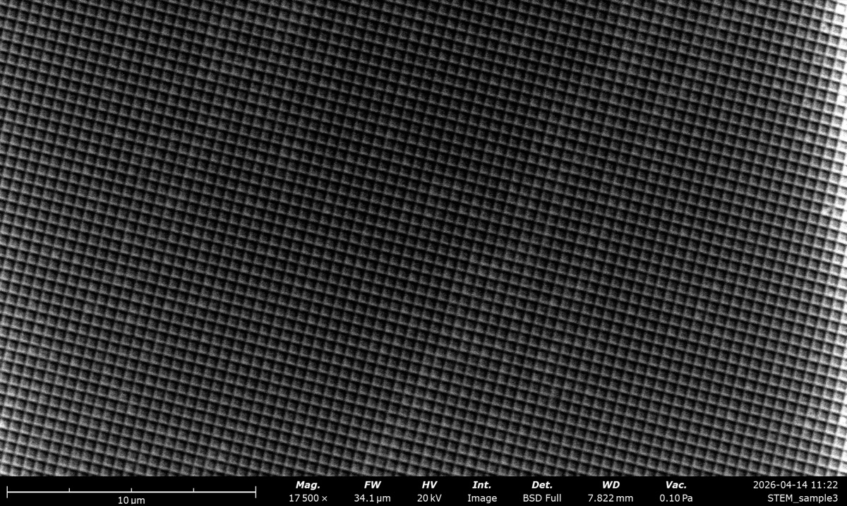 STEM BSE Full at 20 kV on the latex sphere cross grating