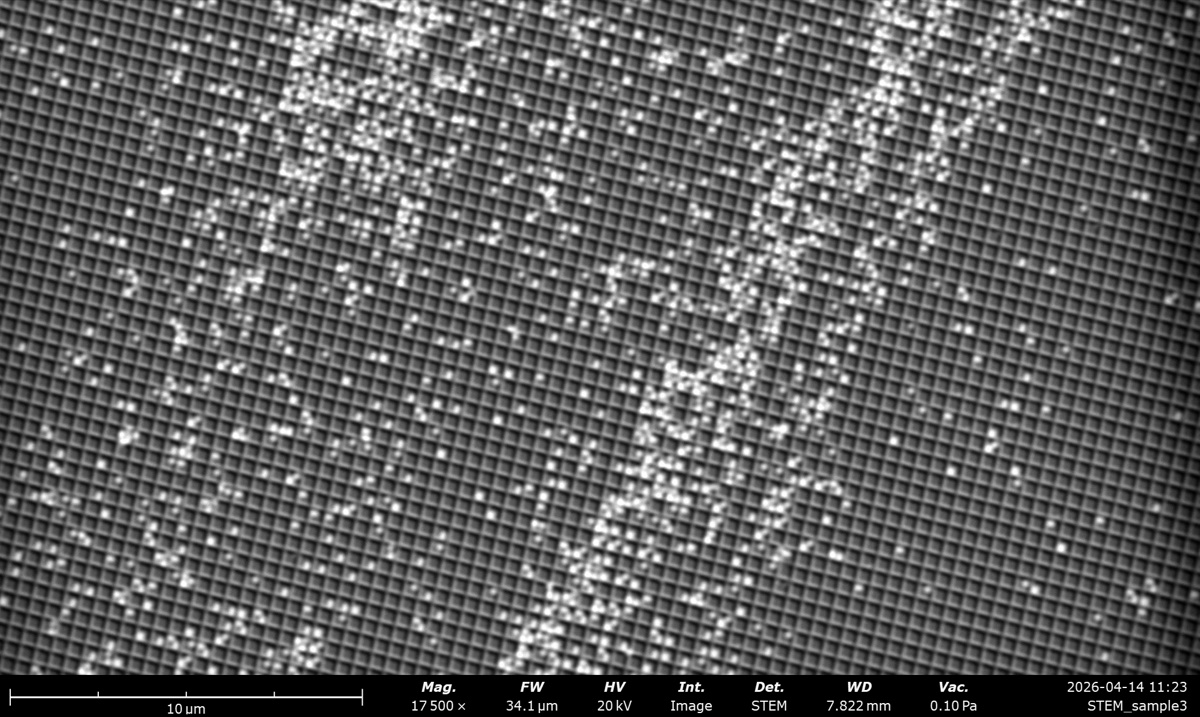 STEM HAADF at 20 kV on the latex sphere cross grating