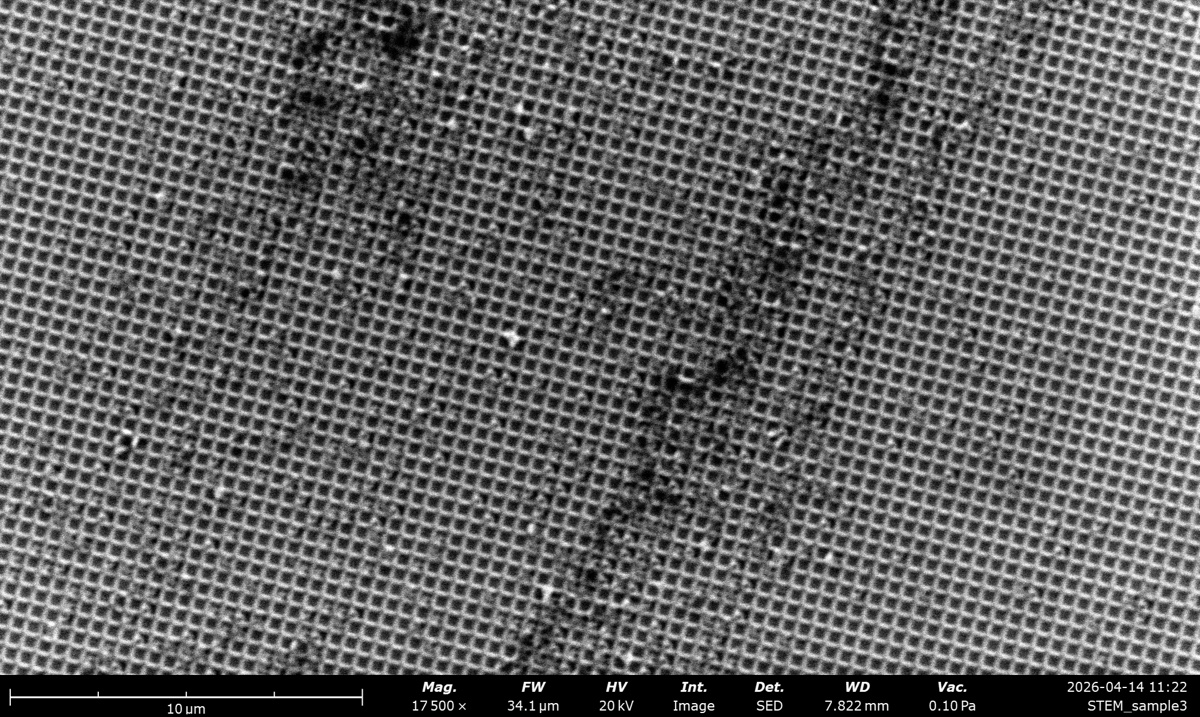 STEM SED at 20 kV on the latex sphere cross grating