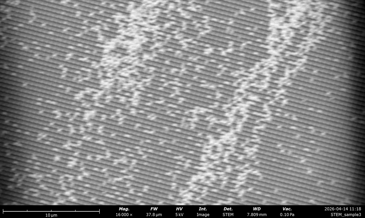 STEM HAADF at 5 kV on the latex sphere cross grating