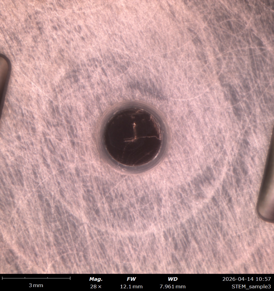 Low-magnification 28x overview of the STEM cross-grating mount used to locate a dark grid square before zooming in and switching to BF STEM mode
