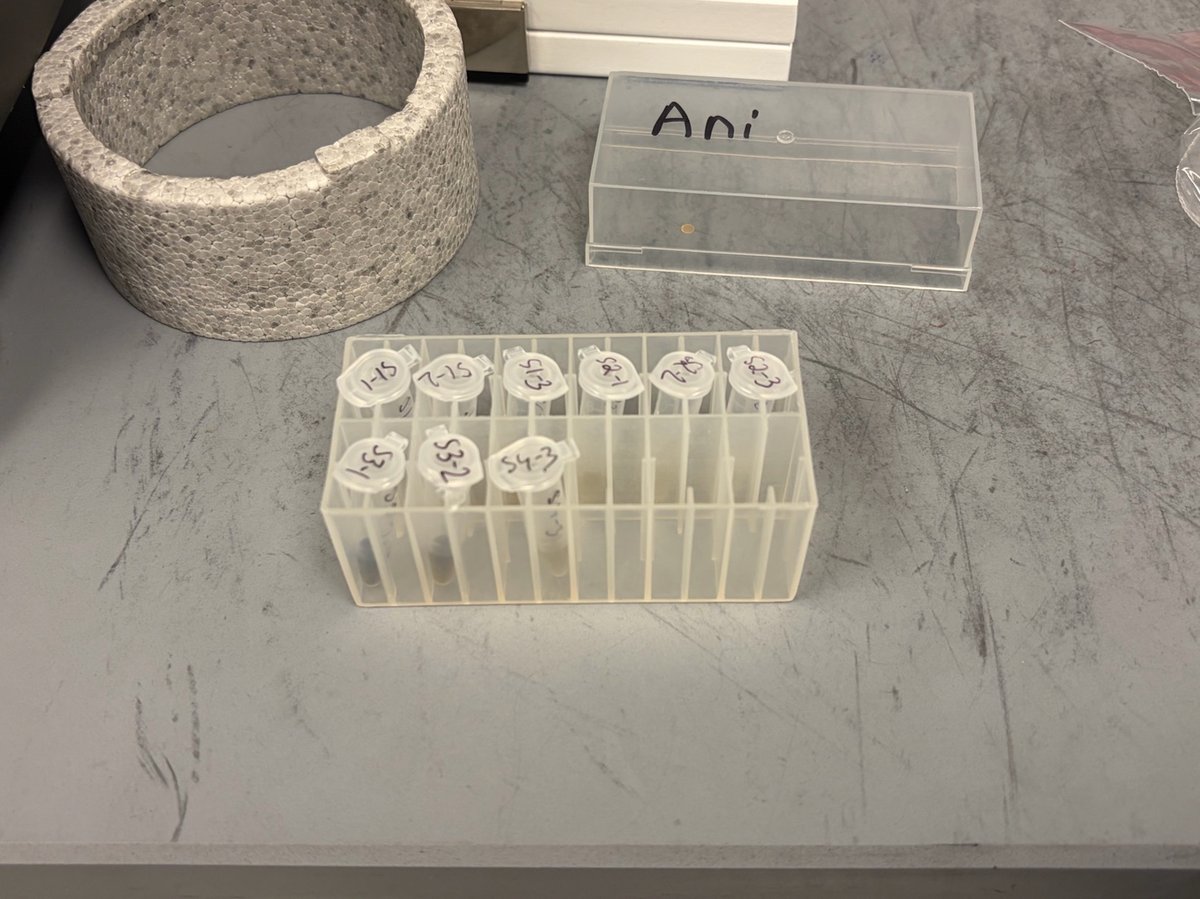 Rack of labeled sample solution vials on the bench