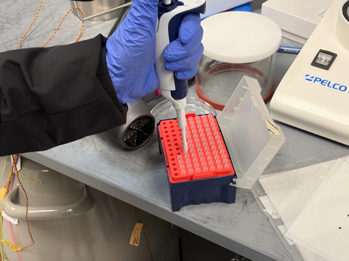 Mounting a fresh tip onto the micropipette from a tip rack