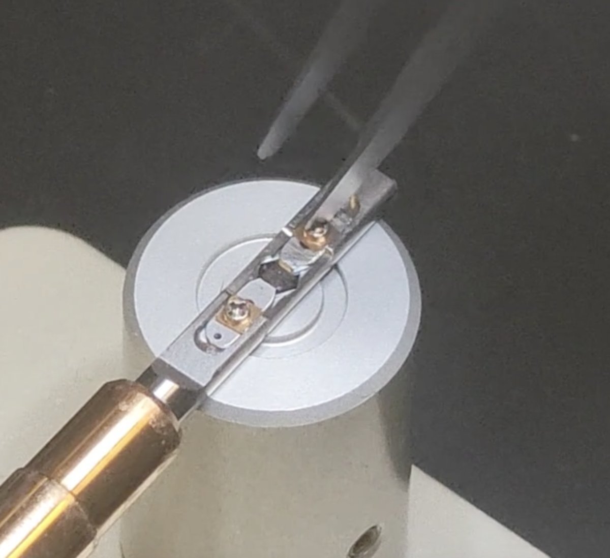 Sample grid held by metal strips