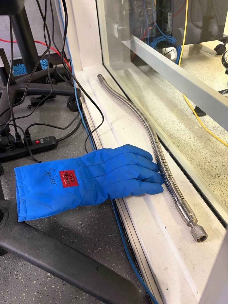 Cryo gloves and transfer hose at sample-loading area