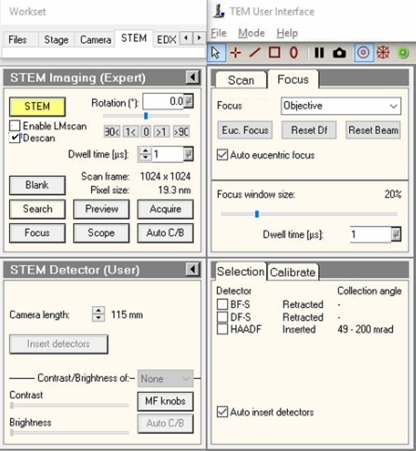 STEM Imaging Expert panel