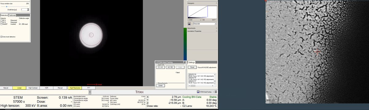 Split view: ronchigram and HAADF