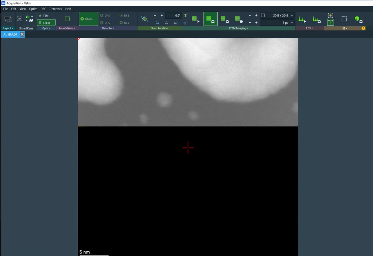 Velox HAADF view during Sherpa tuning
