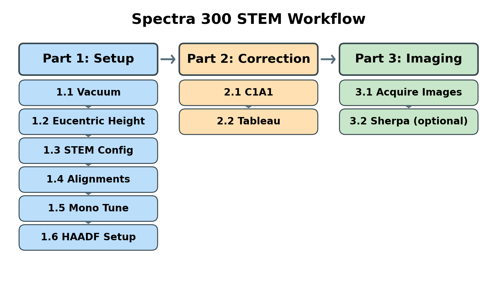 STEM Training Workflow Overview