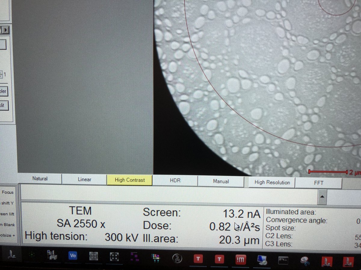 TEM interface showing dose rate and imaging mode