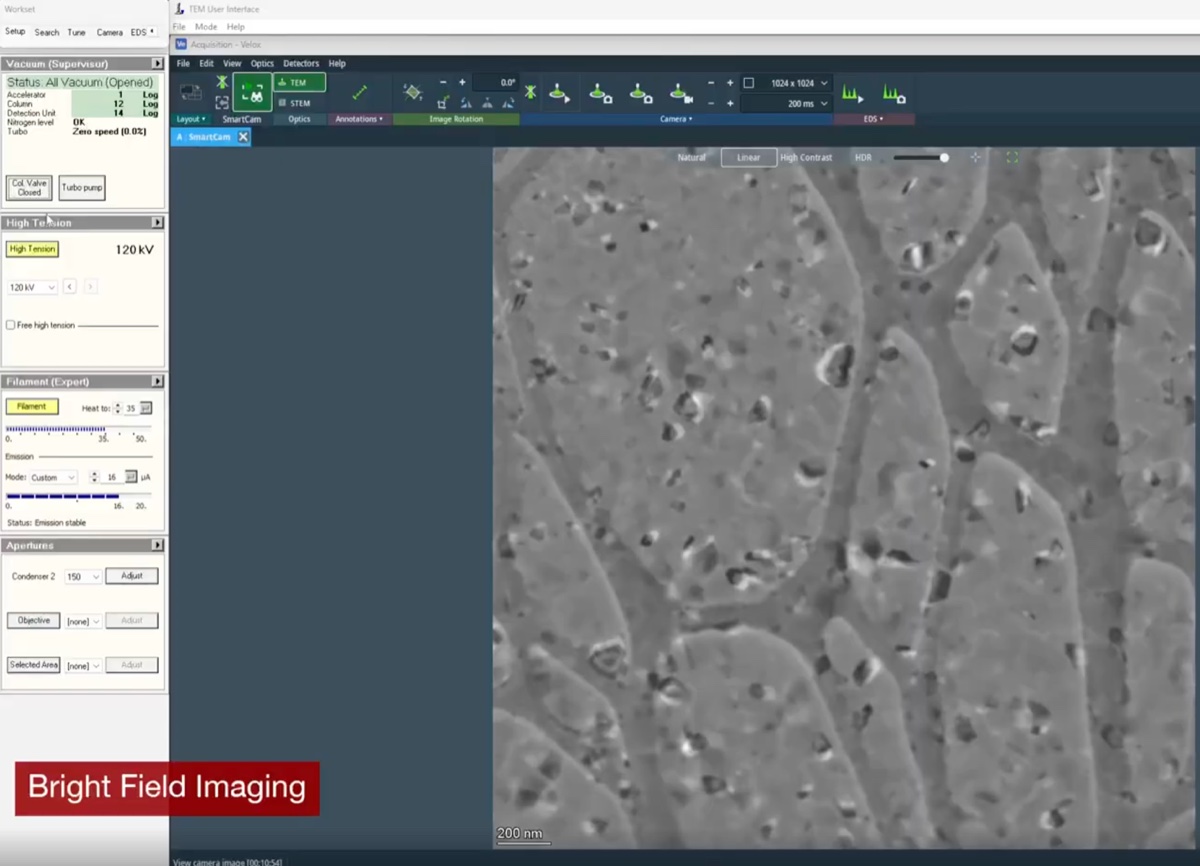 Velox view immediately after opening the column valves, with beam reaching the sample