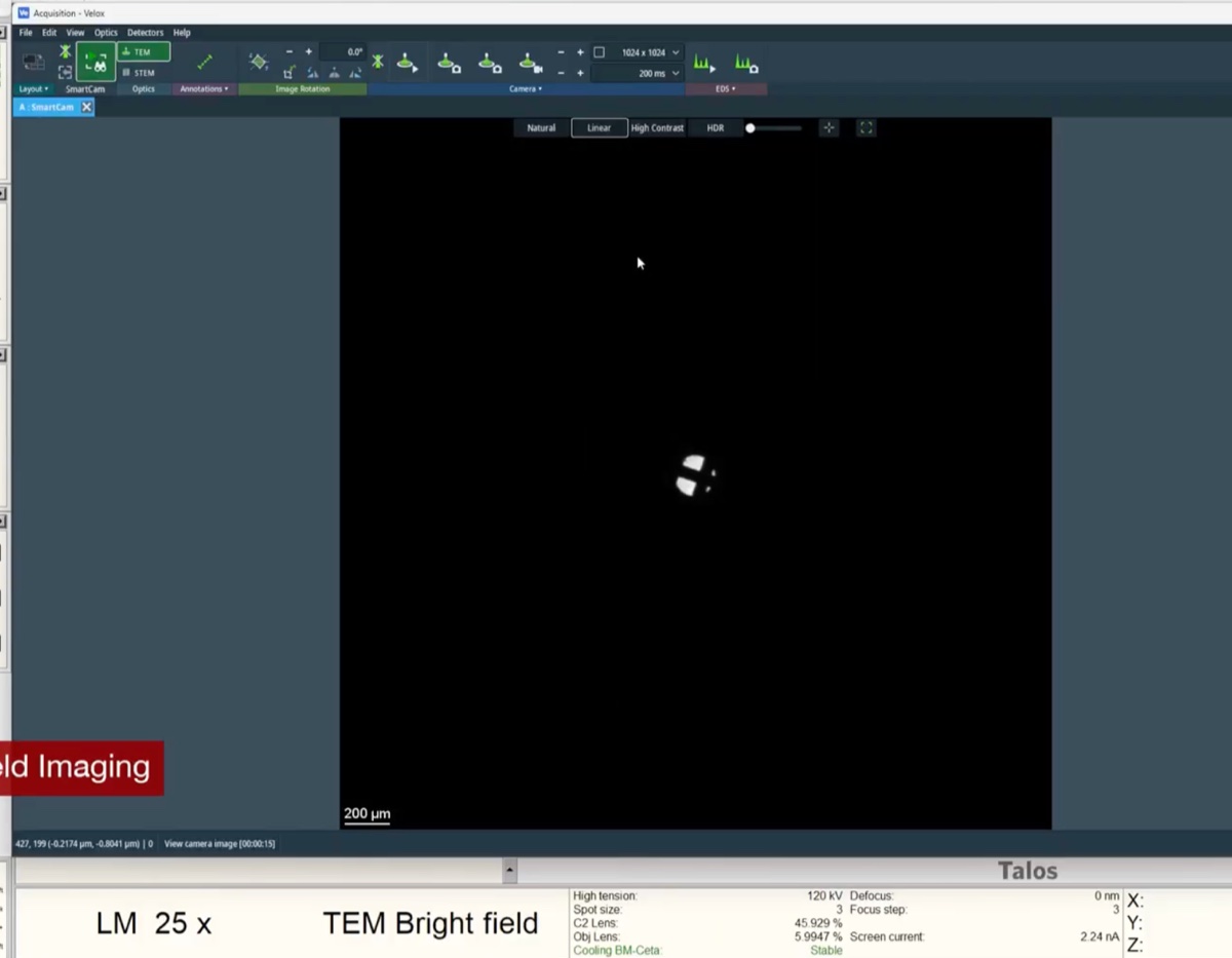 Low-magnification view at approximately 25 times used for stage navigation