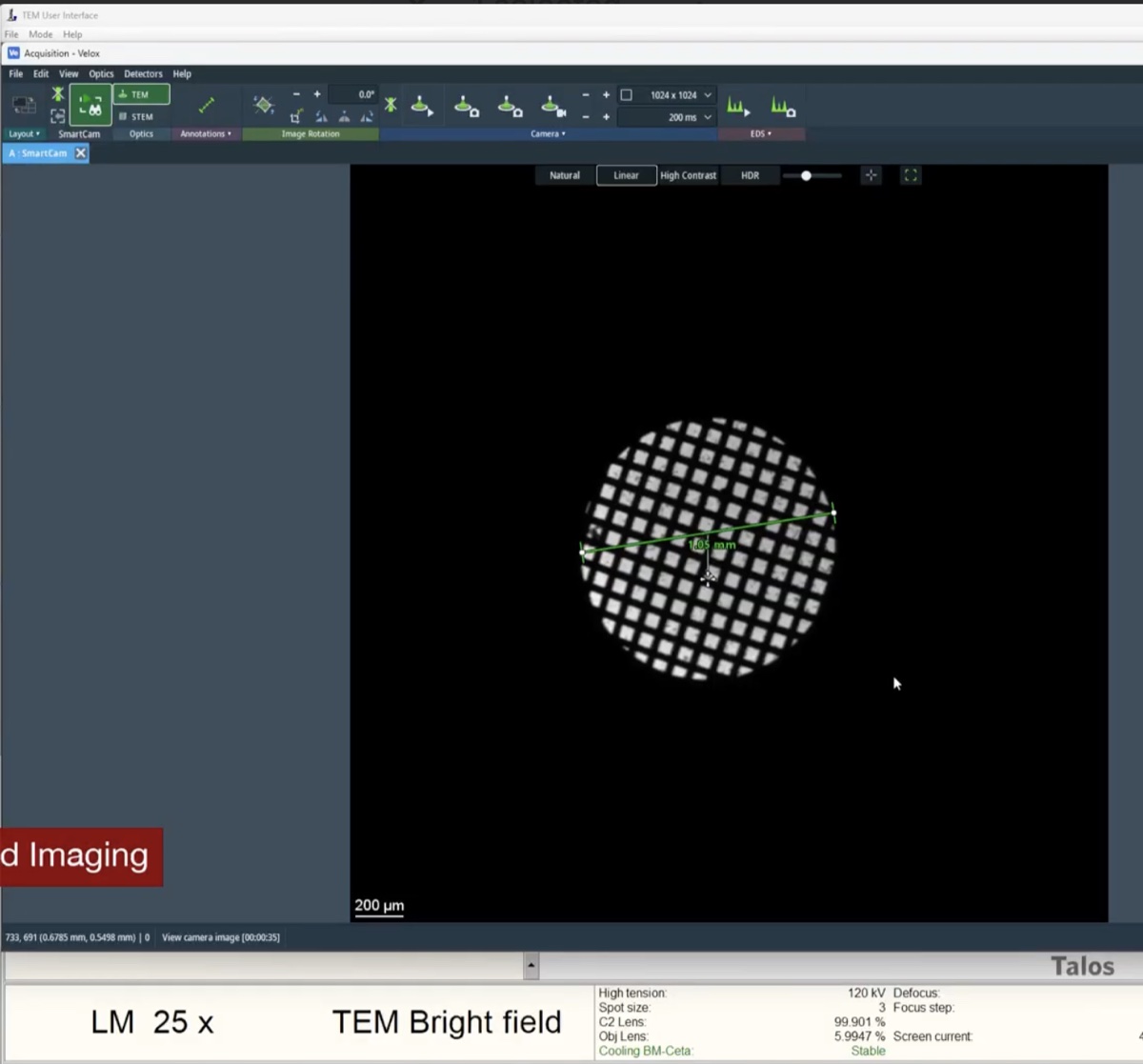 Bright-field image with annotation overlay
