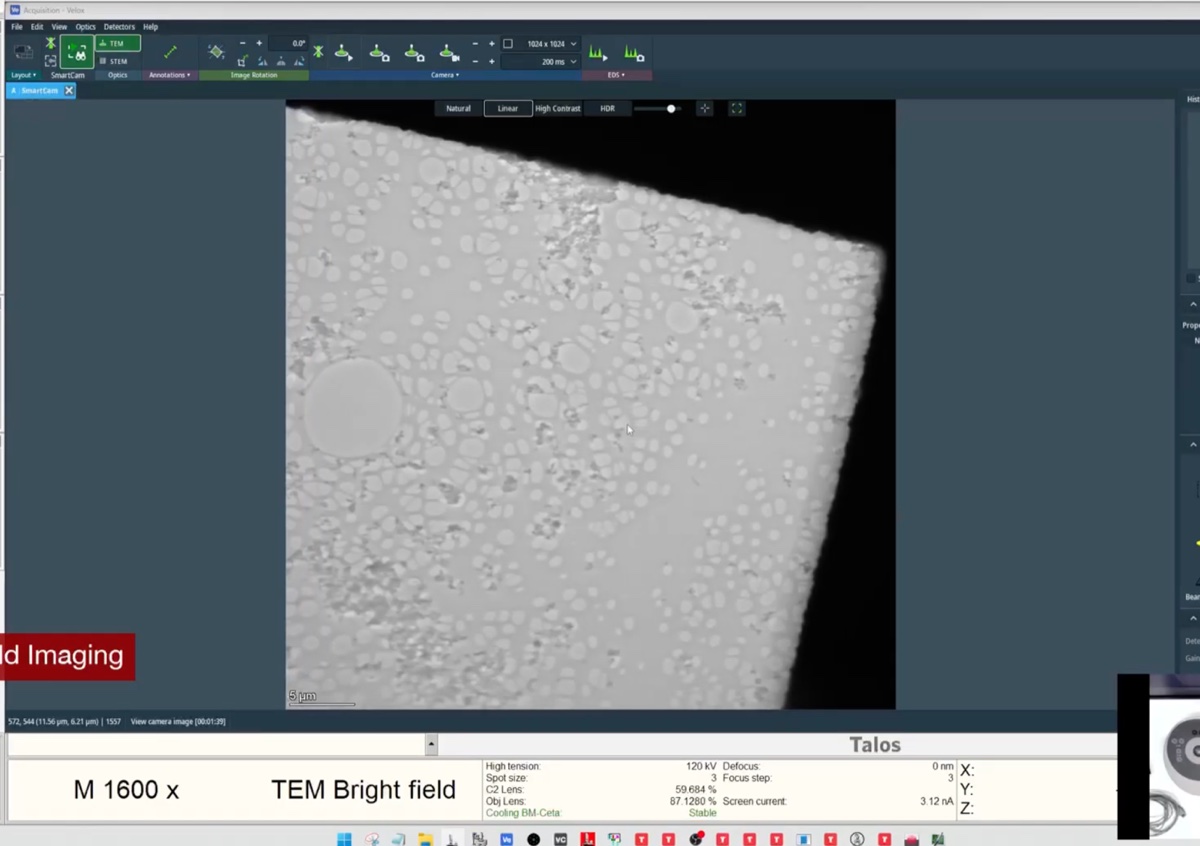 Bright-field image after annotation, ready to save