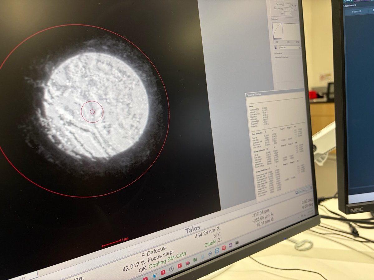 Parallel beam diffraction pattern in TIA at 420 mm camera length, TEM Bright Field mode