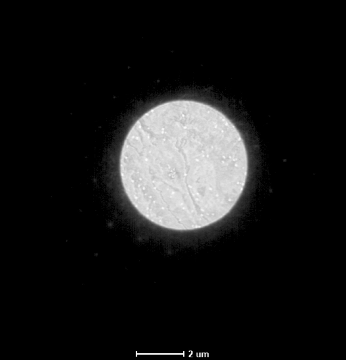 Parallel beam image mode FluCam capture showing a roughly 5 micrometer probe on the screen at 2 micrometer scale