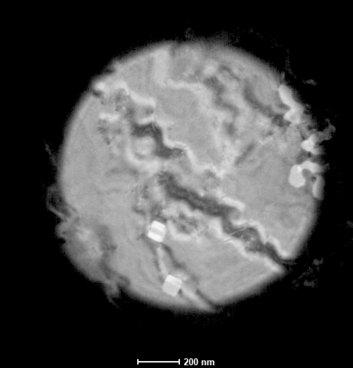 Defocused image mode FluCam capture from the other side of crossover, contrast inverted relative to tif 6
