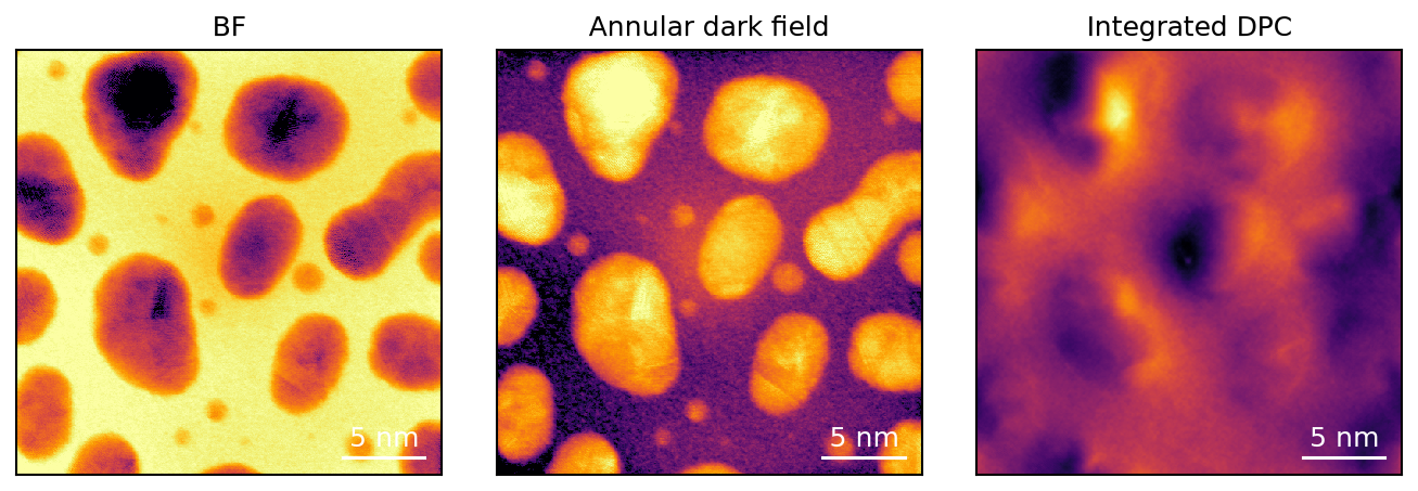 Gold bright-field, annular dark-field and integrated DPC images before SSB